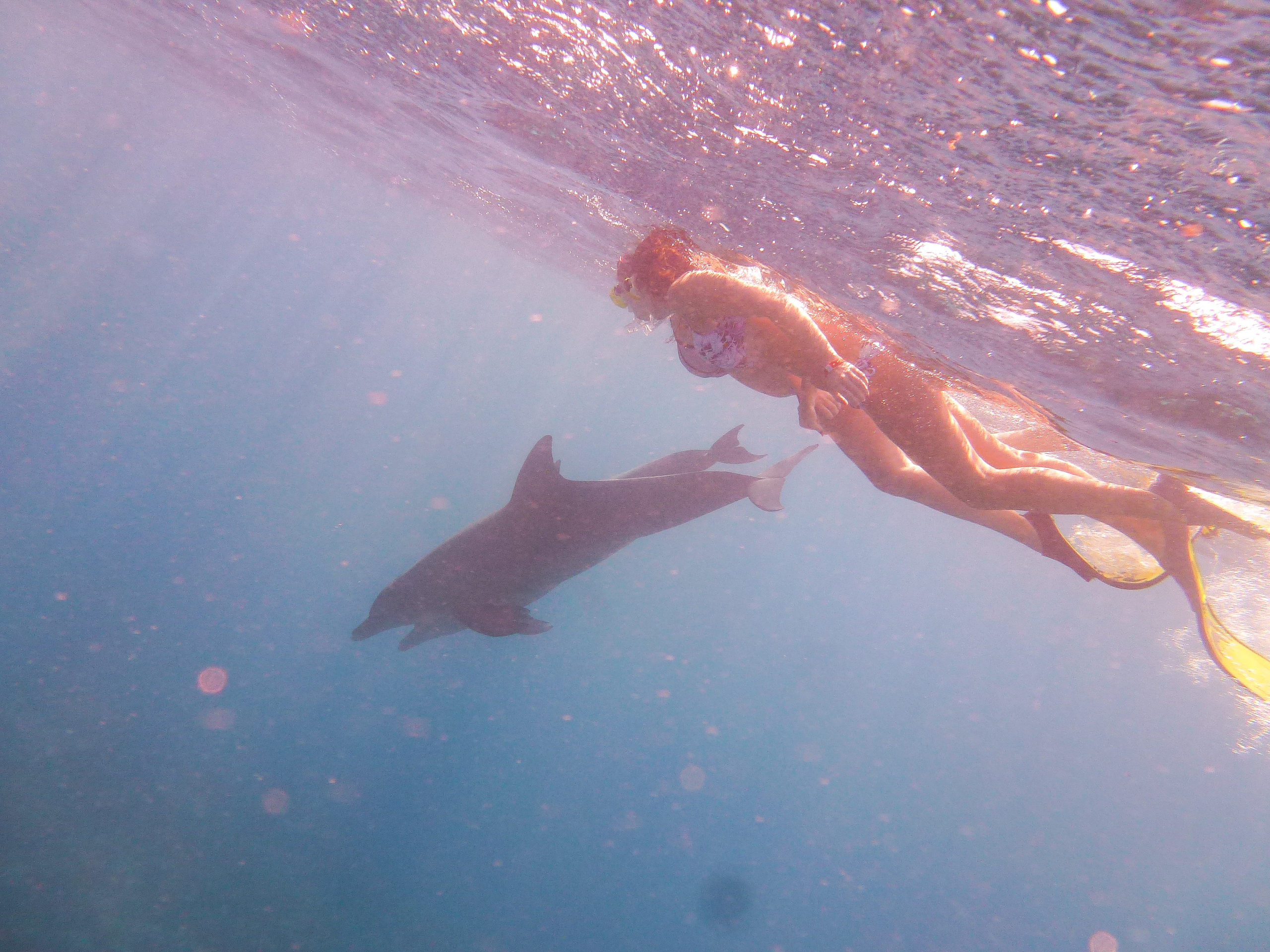 Bloginhaberin Jacky schwimmt mit Delfine im roten Meer in Ägypten Hurghada